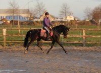 Afbeelding invoegen